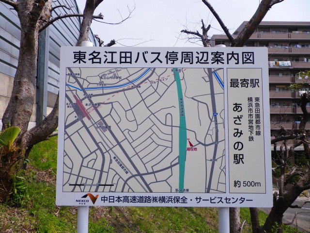 e0078069_5454268.jpg