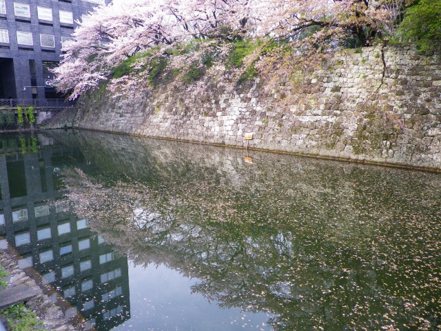 e0078069_5462494.jpg