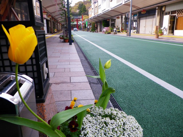 e0078069_5464289.jpg