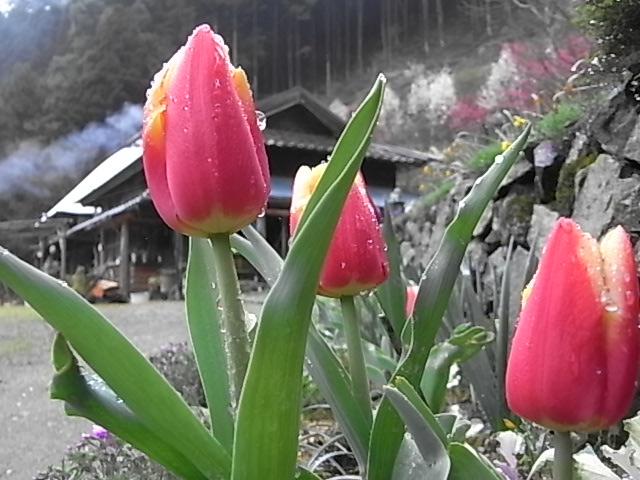 a0146070_1838229.jpg