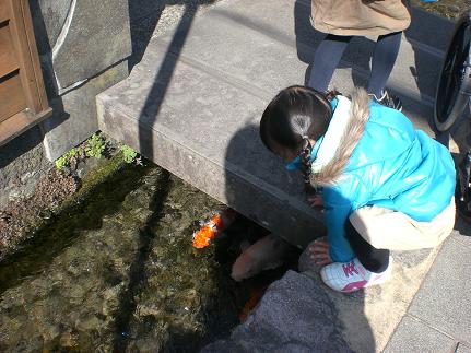 c0222471_355463.jpg