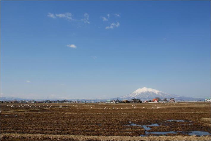 f0182571_7503986.jpg