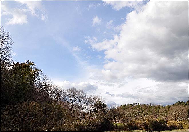 f0198771_0255158.jpg