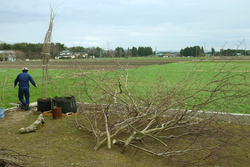 e0172372_1624467.jpg