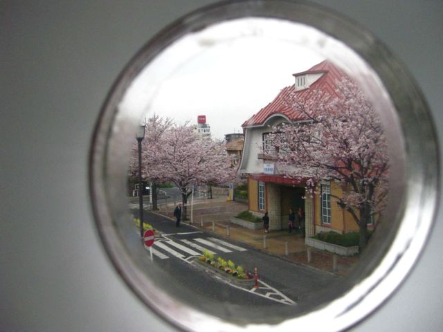 d0008073_23272193.jpg