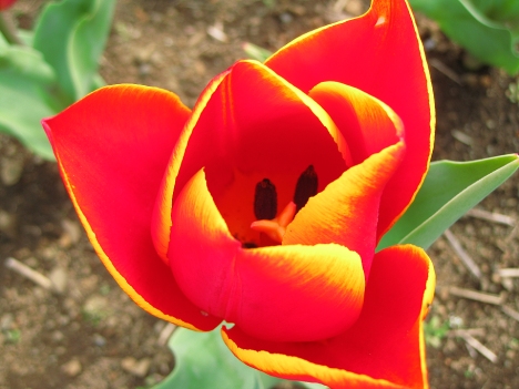f0175875_20455772.jpg