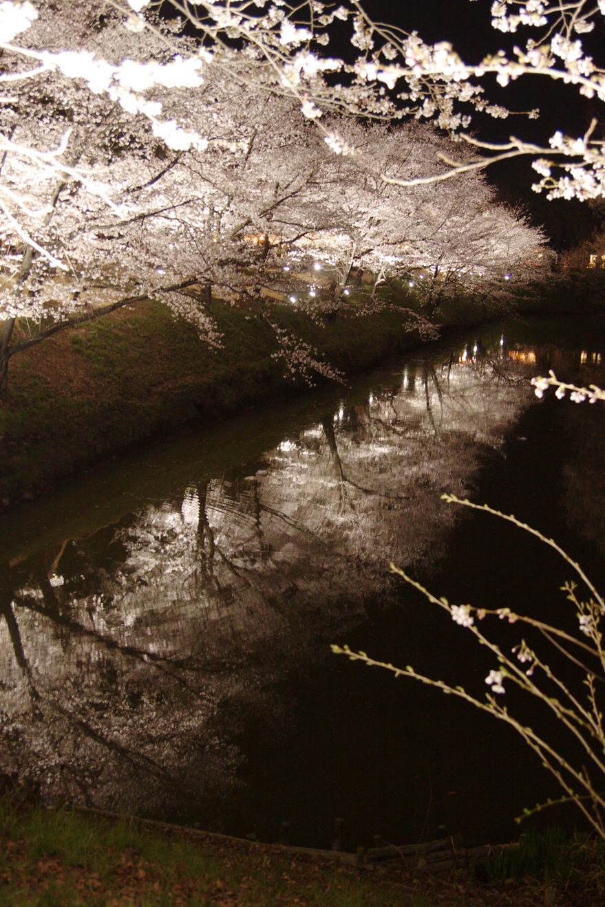 b0083779_9541267.jpg