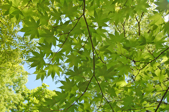 f0153479_022550.jpg