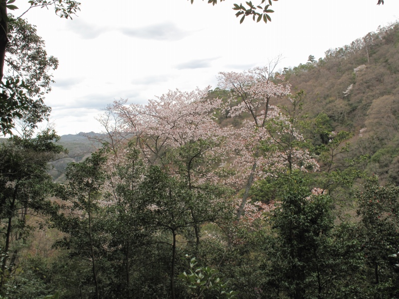 a0004180_16571894.jpg
