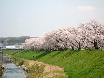 c0073987_22285064.jpg