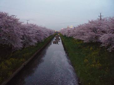 c0073987_2231684.jpg
