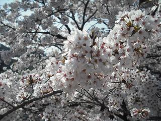 e0133087_19492199.jpg