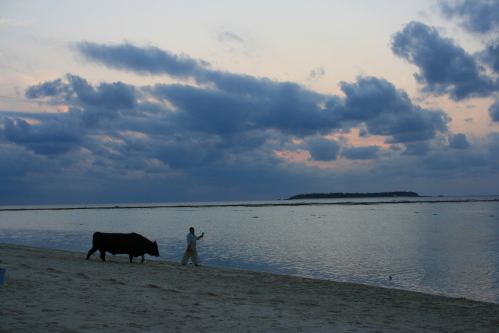 f0093592_19464549.jpg