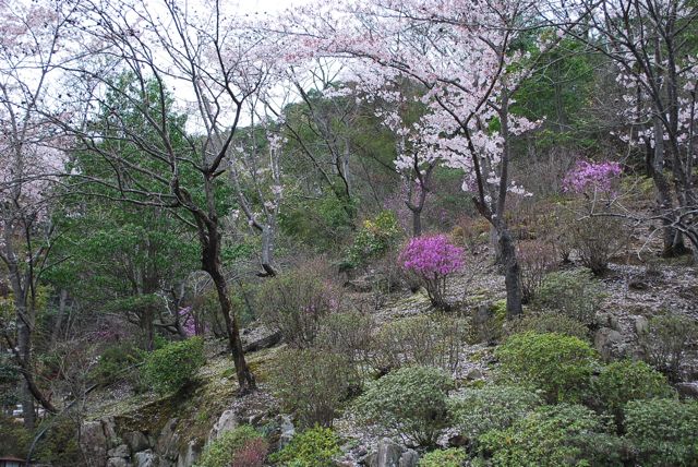 f0213292_21201035.jpg