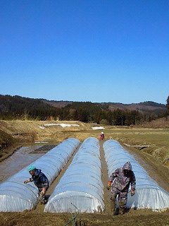 f0230992_1320376.jpg