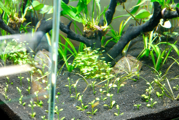 c0225297_81464.jpg