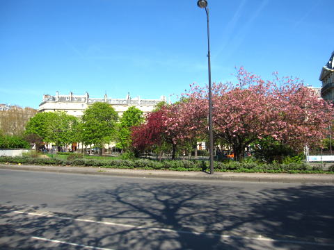 c0090198_4375829.jpg