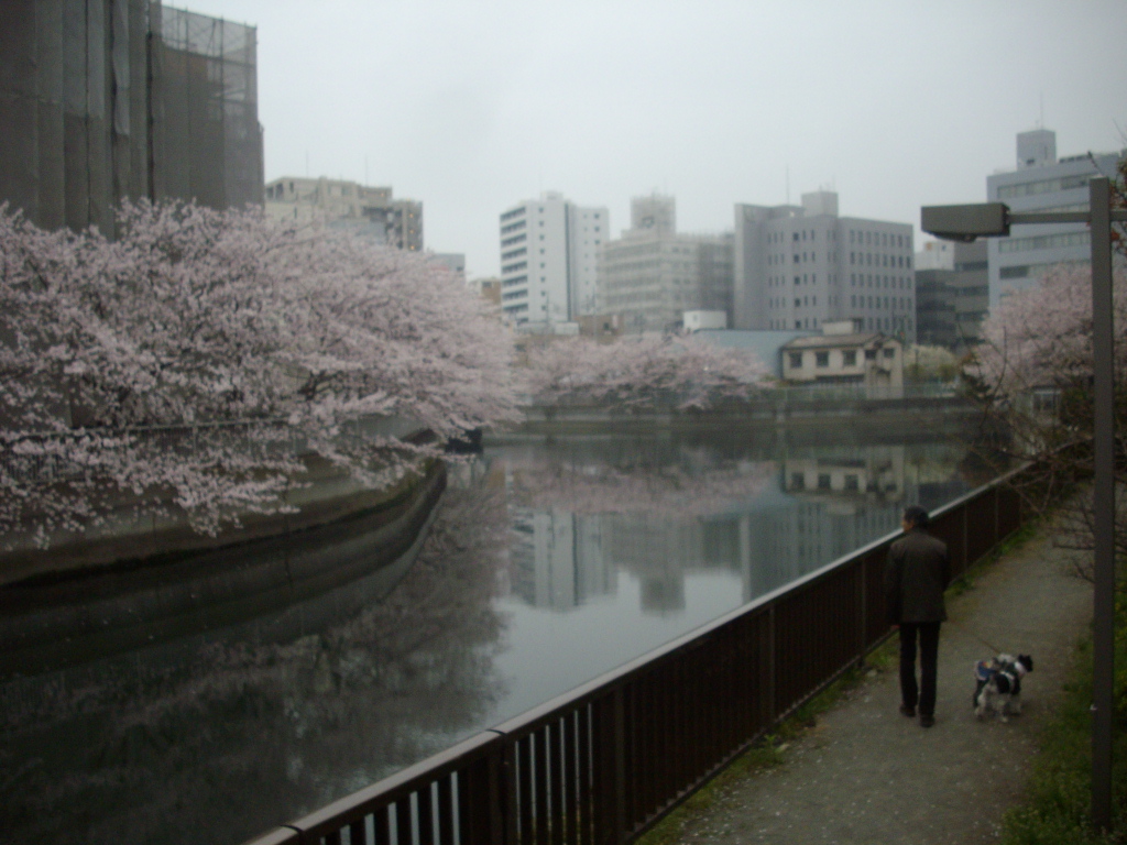 c0138198_9195531.jpg
