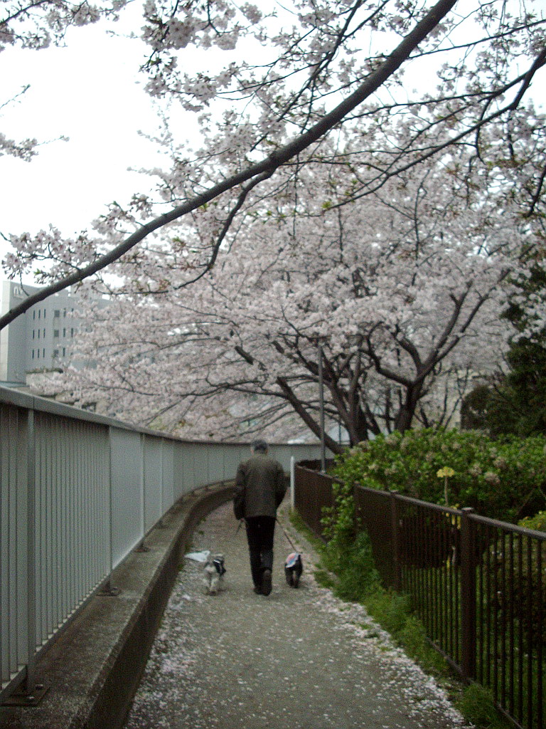 c0138198_92399.jpg