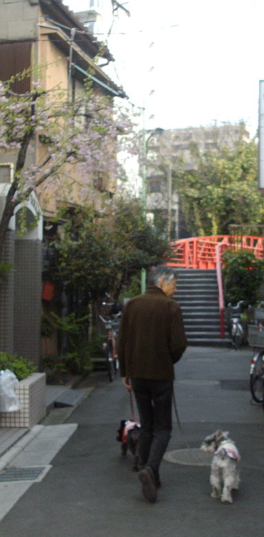c0138198_9264358.jpg