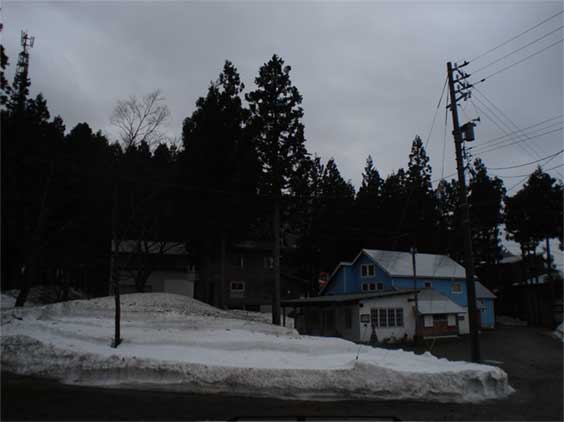 a0061599_7145955.jpg