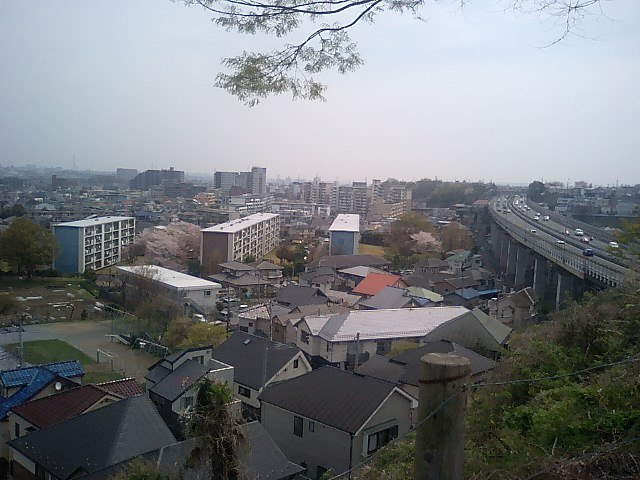 f0187499_18123821.jpg