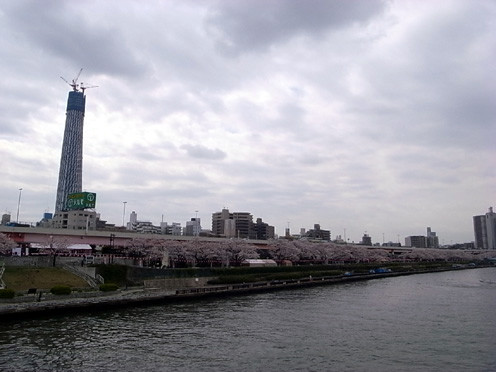 e0043700_15173443.jpg