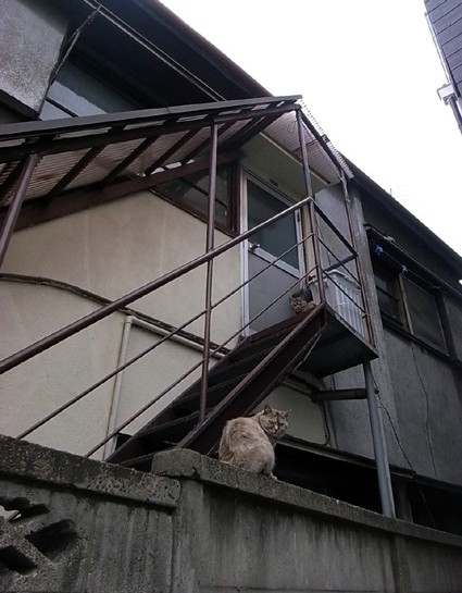e0043700_21372085.jpg