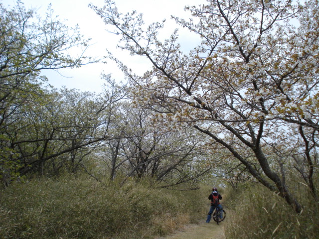 e0015108_10144312.jpg