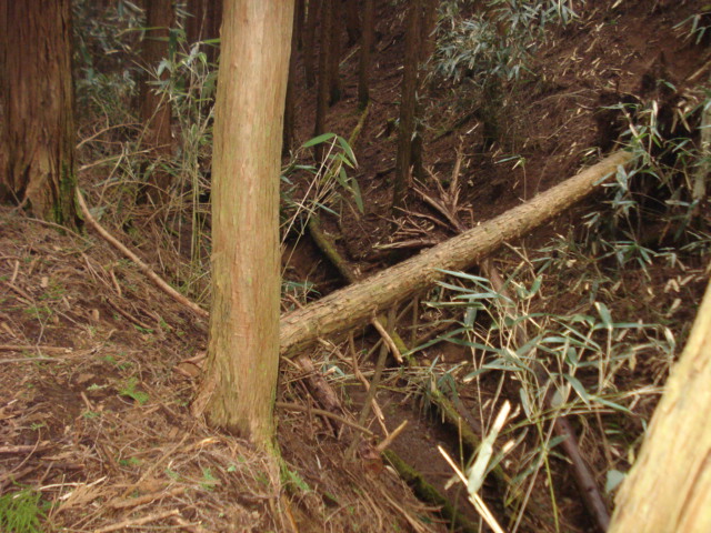 e0015108_1032367.jpg