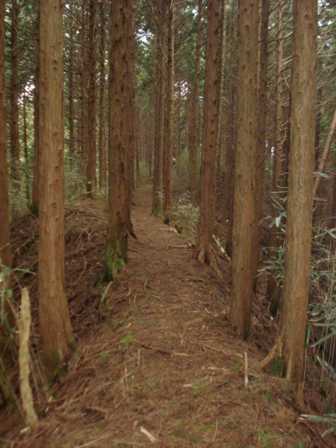 e0015108_104352.jpg
