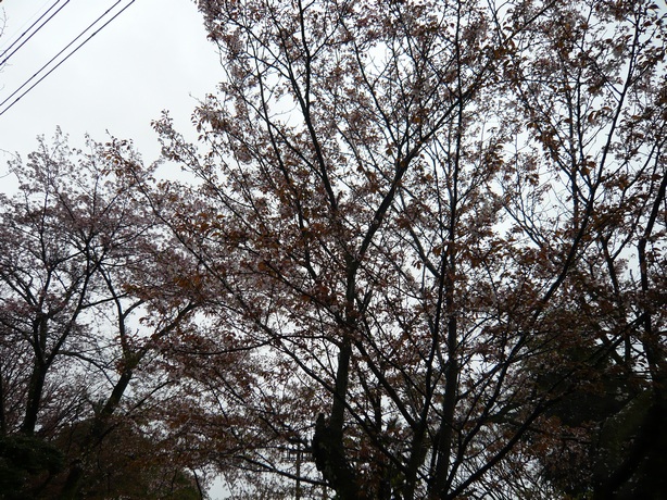 f0221708_17332195.jpg