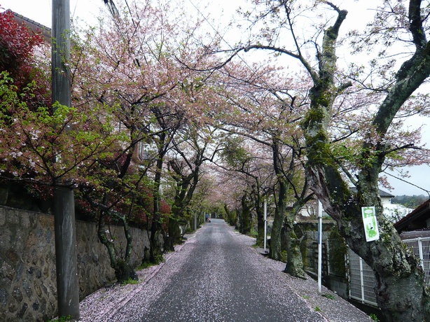 f0221708_17521392.jpg