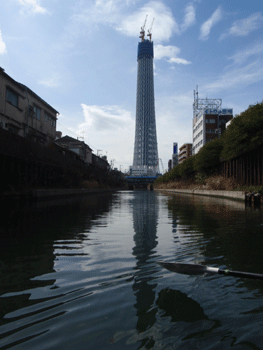 b0132710_0293638.gif