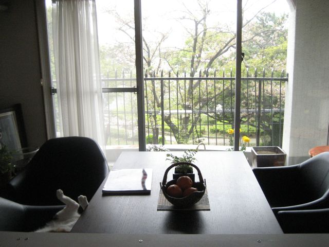 c0114110_16472118.jpg