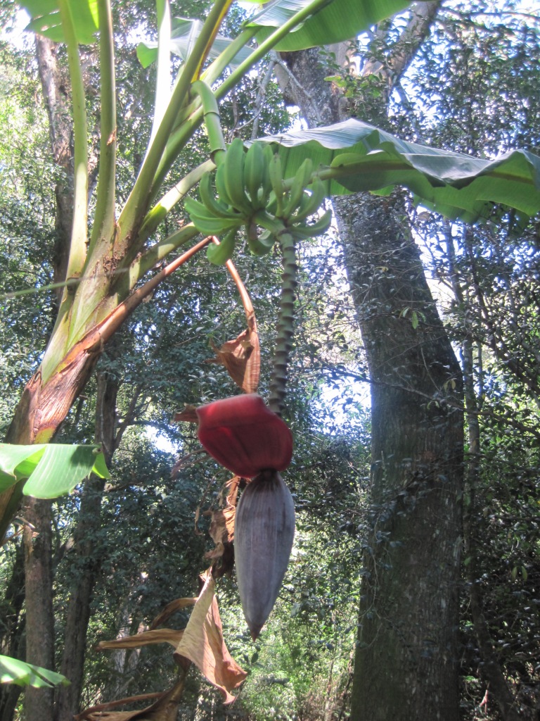 f0229411_910739.jpg