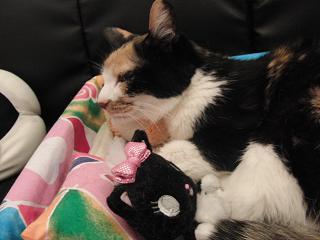 c0201113_22591183.jpg