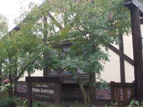 a0157619_21441223.jpg