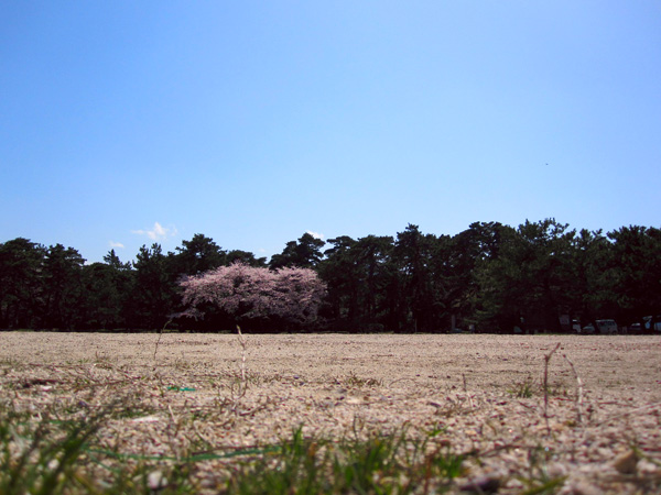 b0186119_1723594.jpg