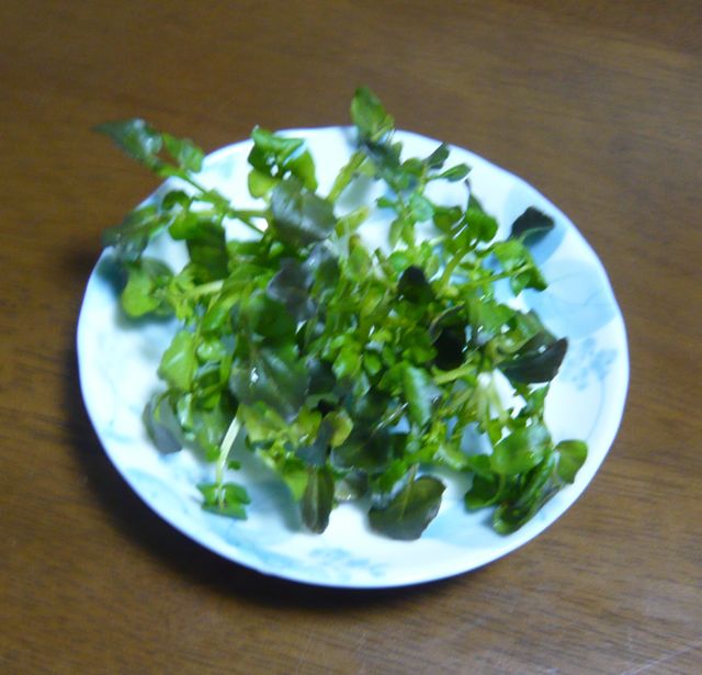 e0111220_21592252.jpg