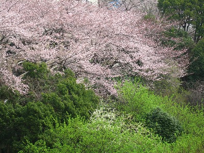 a0111621_1928667.jpg