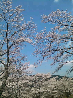 a0056722_2138641.jpg
