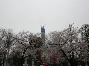 e0127622_10134733.jpg