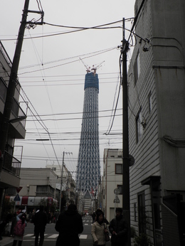 e0127622_10171060.jpg