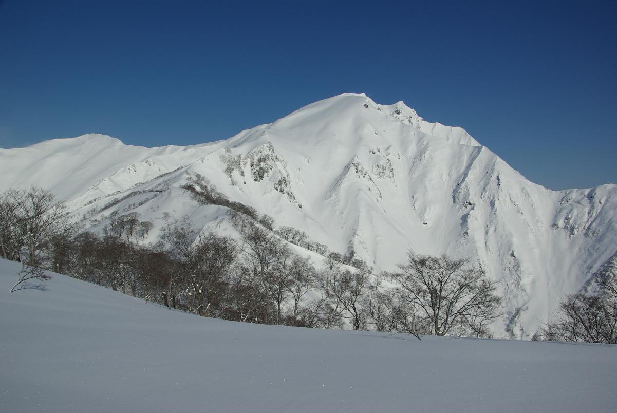 b0062024_7551719.jpg