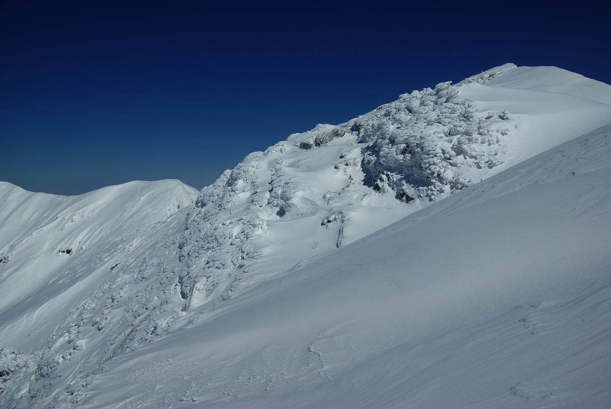 b0062024_844710.jpg