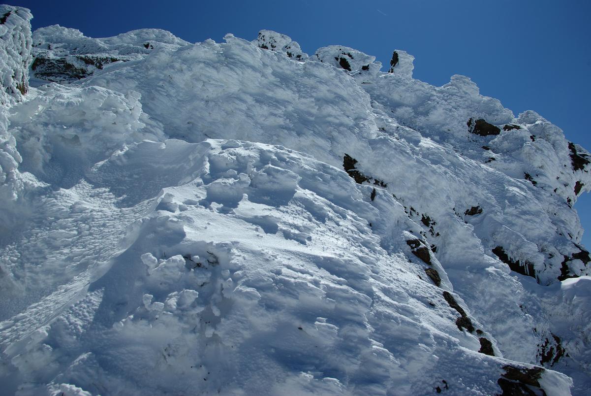 b0062024_861489.jpg