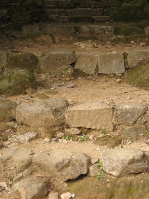 d0147727_18591356.jpg