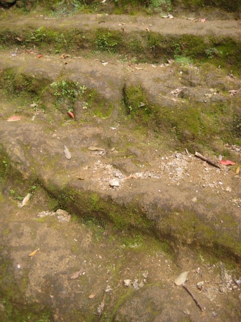 d0147727_18593522.jpg
