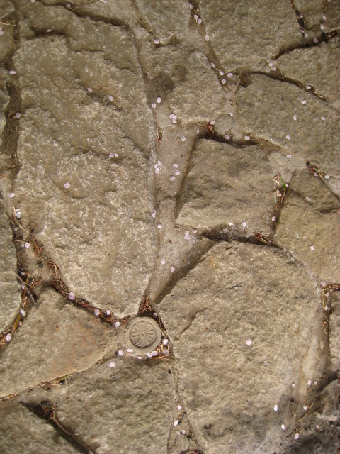 d0147727_1921296.jpg